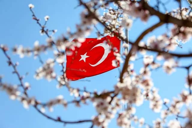 2025’in en çok hasta ağırlayan ülkeler belli oldu! Türkiye ilk sırada