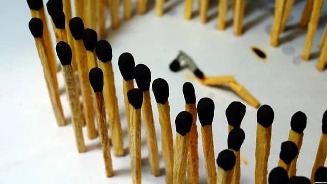 7 yaşam formu nelerdir?