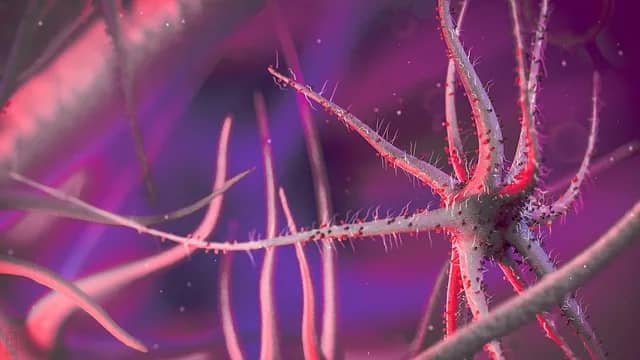 Soyunma (Uncoating) nedir?